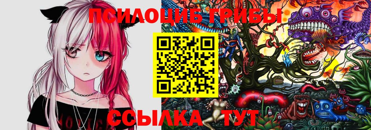 Псилоцибиновые грибы GOLDEN TEACHER Белорецк