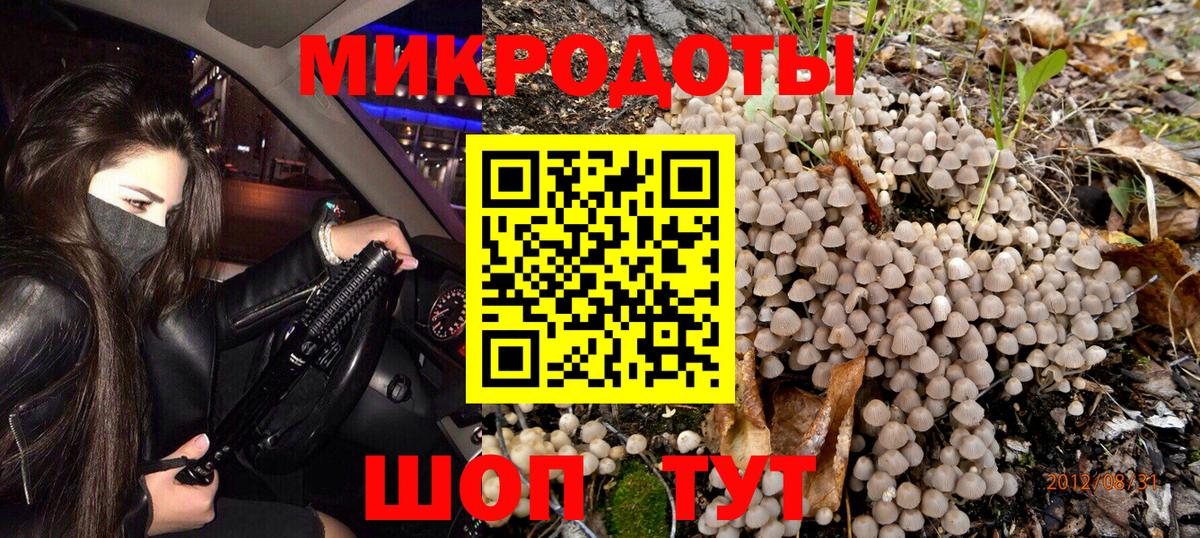 Галлюциногенные грибы GOLDEN TEACHER  Галлюциногенные грибы Psilocybine cubensis  Вход с VPN  продажа наркотиков  Белорецк 